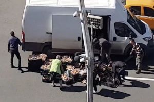 VIDEO – Cornuri înşirate în giratoriu pe Milea. Trecătorii au ajutat şoferul să le adune!