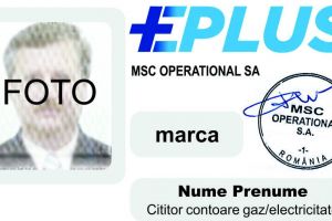 Delgaz Grid solicită cetăţenilor să permită accesul echipelor specializate în citirea contoarelor