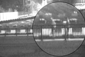 Trei tineri au furat o jardinieră cu flori din centrul Râmnicului