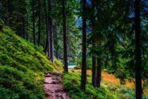 Primarul oraşului Cugir, Adrian Teban: Asociaţia “Munţii Șureanu” susţine dezvoltarea integrală a acestei zone montane