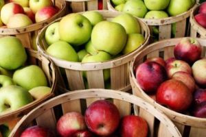 E ceva putred cu merele din şcolile Argeşului!