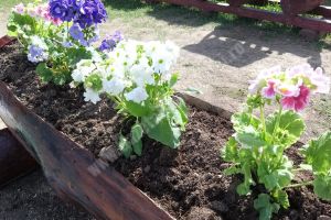 METEO: Vremea, joi, 28 martie