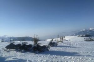 Autostrada din Parcul National Muntii Rodnei (VIDEO)