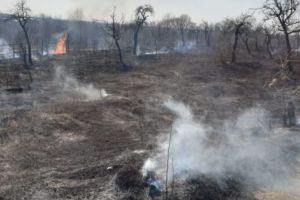 PATRULE de POMPIERI pentru STOPAREA PIROMANILOR din ARGEŞ!