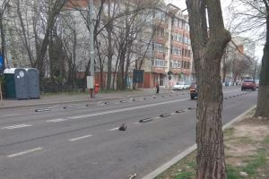 Separatoarele de benzi de pe Traian au început să sară. De fericire!