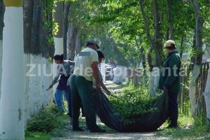 Incepe a opta editie a Campania Curatam Constanta Noastra. Ce le-a transmis Decebal Fagadau, agentilor economici din Mamaia