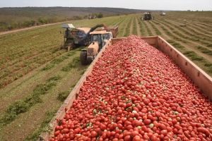 Bani sunt în agricultură, însă nu ne înghesuim să-i luăm
