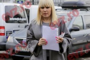 Elena Udrea „traduce” demersul judecătorilor de la Instanţa supremă: „Ţinta e de a nu respecta deciziile Curţii Constituţionale”