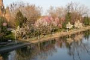 Bega va fi navigabilă până la vecinii sârbi în cel mult 2 ani. Rămâne de văzut cine şi cu ce va circula…