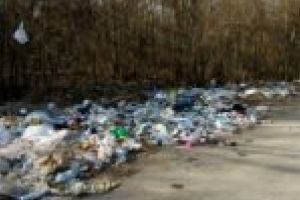 Pe persoană fizică! Voluntarii din Lugoj şi împrejurimi strâng gunoaiele aruncate de cei fără bun simţ