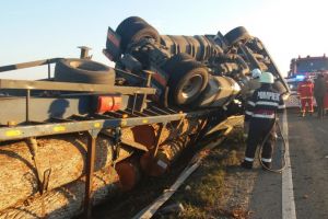Un camion cu buşteni s-a răsturnat pe marginea drumului, pe DN 79,  la ieşirea din Ciumeghiu (FOTO)