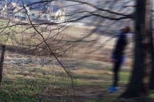 Tânăr de 33 de ani găsit spânzurat de un copac – Avea datorii mari