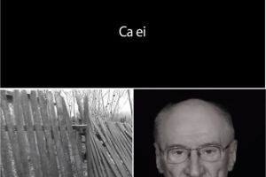 Taxi-Melodia care a incins internetul. Ba nenorocitilor cu Victor Rebengiuc