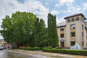 VIDEO: Platanul falnic din Cîmpeni, arborele anului 2019 în România, tăiat cu drujba. Scandal cu ameninţări cu oamenii primăriei