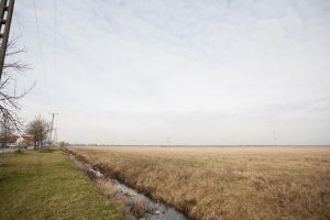 Lista finală a tinerilor care primesc terenuri de la primărie, aprobată la exact doi ani de la publicare