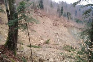 Alunecare de teren masivă în fondul forestier, în comuna Frumosu