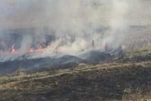 Incendiu de amploare in judetul Tulcea, in apropiere de Bestepe. Pompierii ISU Delta, chemati in ajutor (galerie foto)