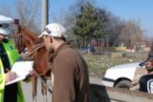 Sistemul national de irigatii, tinta hotilor / Unde trebuia sa ajunga prada?