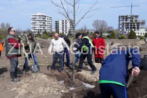 Primarul Decebal Fagadau, laude la adresa actiunii de plantare de la Ovidius Park