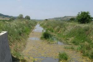 ANIF Mureş angajează