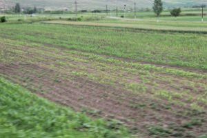 APIA: Fermierii romani au depus 287.036 cereri unice de plata pentru o suprafata de 892.916 hectare