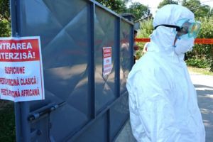 ATENTIE! Se iau masuri impotriva raspandirii pestei procine in Prahova!