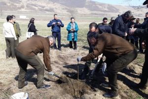 FOTO – Sute de copaci plantaţi la Copşa Mică – A participat şi ministrul Ioan Deneş