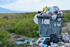Este oficial: produsele de plastic de unică folosinţă vor fi interzise în UE