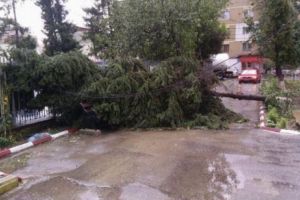 Bărbat STRIVIT de un copac, în urma furtunii din Capitală