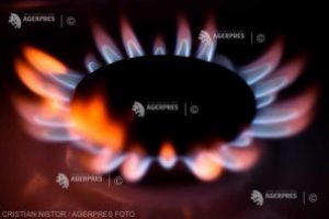 Preţul gazelor de producţie internă va fi plafonat începând cu 1 mai (surse)