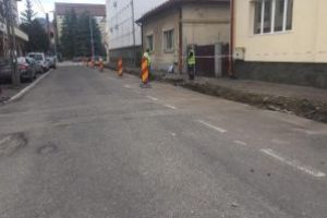 Baia Mare: 30 de copaci vor fi plantati pe strada Nicolae Tituleascu, strada de pe care a fost defrisata vegetatia in urma cu cateva zile