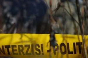 Tânărul pădurar care a ucis în bătaie un sătean din Budureasa a fost trimis în judecată pentru omor