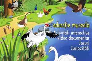 Ziua Internaţională a Păsărilor, marcată la Muzeul de Ştiinţele Naturii Suceava