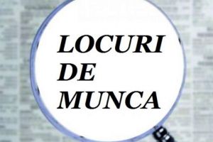 ANGAJĂRI. 170 de locuri de muncă vacante în judeţul Satu Mare