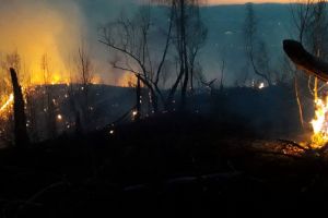 Incendiu uriaş pe Valea Aleului: 30 de hectare de pământ au ars, pompierii au luptat cu flăcările aproape 6 ore (FOTO)