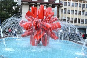 USR Bistriţa: Infracţiune în cazul ”Floarea Transilvaniei”, ne-a comunicat IRC