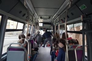 STPT mai înfiinţează o linie de transport şcolar, din Freidorf