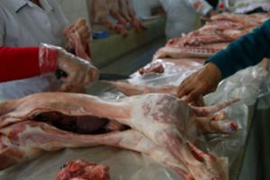 ATENȚIE: Amenzi de până la 40.000 de lei pentru vânzarea cărnii de miel fară documente veterinare şi fiscale