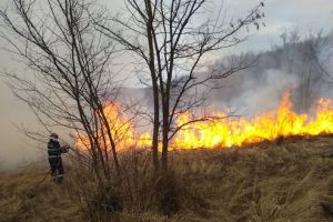 Incendiu de vegetaţie lângă Mediaş – Intervin pompierii