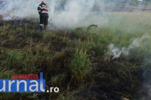Apelul pompierilor: opriţi arderile necontrolate! Victime omeneşti, pagube uriaşe şi amenzi din cauza incendierilor de mirişti