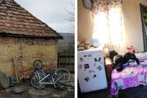 Anunţ: Să ajutăm familia victimei atacului de urs!