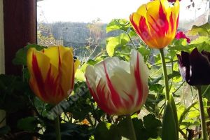 METEO:  Vremea în acest weekend