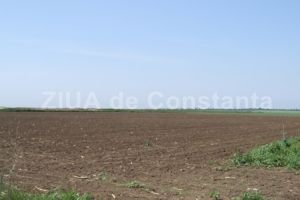 Societatea Agro Kateka doreste elaborarea unui PUZ pentru un teren din Pestera. Ce intentioneaza sa faca (document)