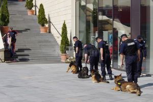 Dresaj cu câinii de serviciu ai Jandarmeriei, pe platoul de la Iulius Mall