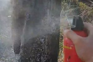 VIDEO/ȘTIREA TA: Un tânăr din Aiud, pompier de ocazie în Sibiu. A stins un copac cu stingătorul de la maşină