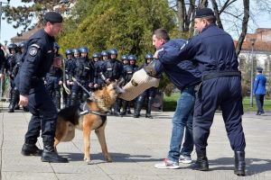 100 de ani de Jandarmerie! Jandarmii bihoreni îşi sărbătoresc centenarul cu demonstraţii şi paradă