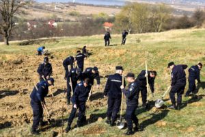 Jandarmii au plantat salcâmi