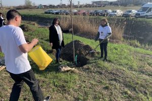 Termoficare Oradea- Acţiune de voluntariat! Avem grijă de aerul pe care îl respiri! (FOTO)
