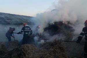 FOTO Zi de foc pentru pompierii sibieni. Au ars mii de metri pătraţi de vegetaţie