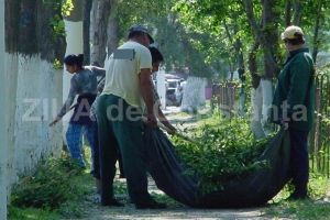 Actiune de igienizare in Parcul Tabacarie. Start campania Curatam Constanta Noastra